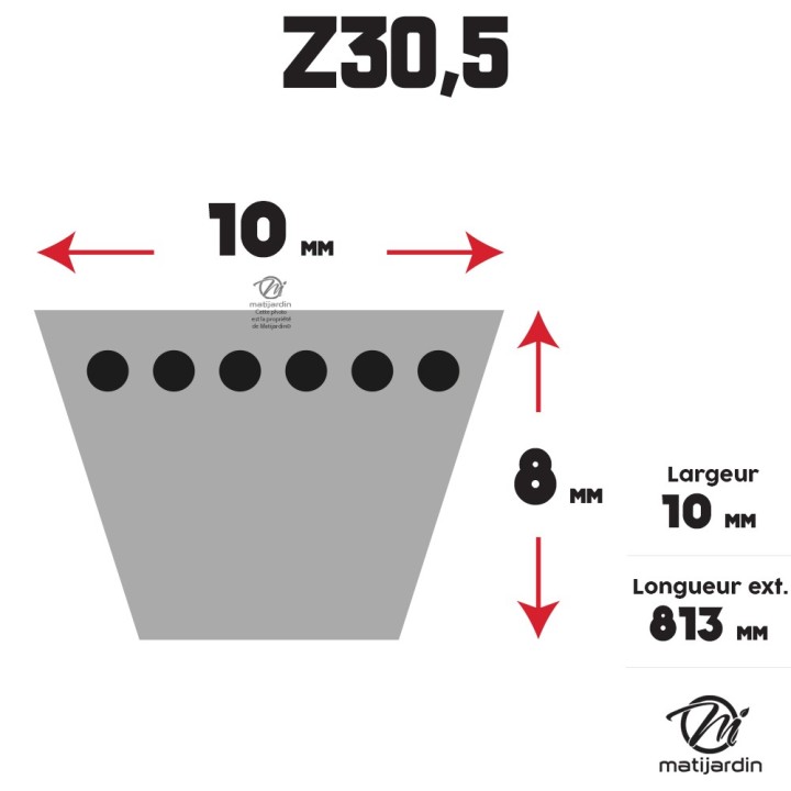 Courroie tondeuse Trapézoïdale Z30,5 - 10 mm x 813 mm