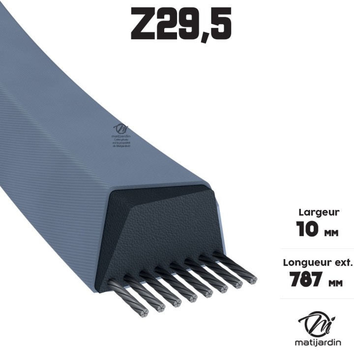 Courroie tondeuse Trapézoïdale Z29,5 - 10 mm x 787 mm