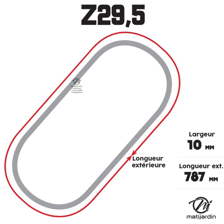 Courroie tondeuse Trapézoïdale Z29,5 - 10 mm x 787 mm