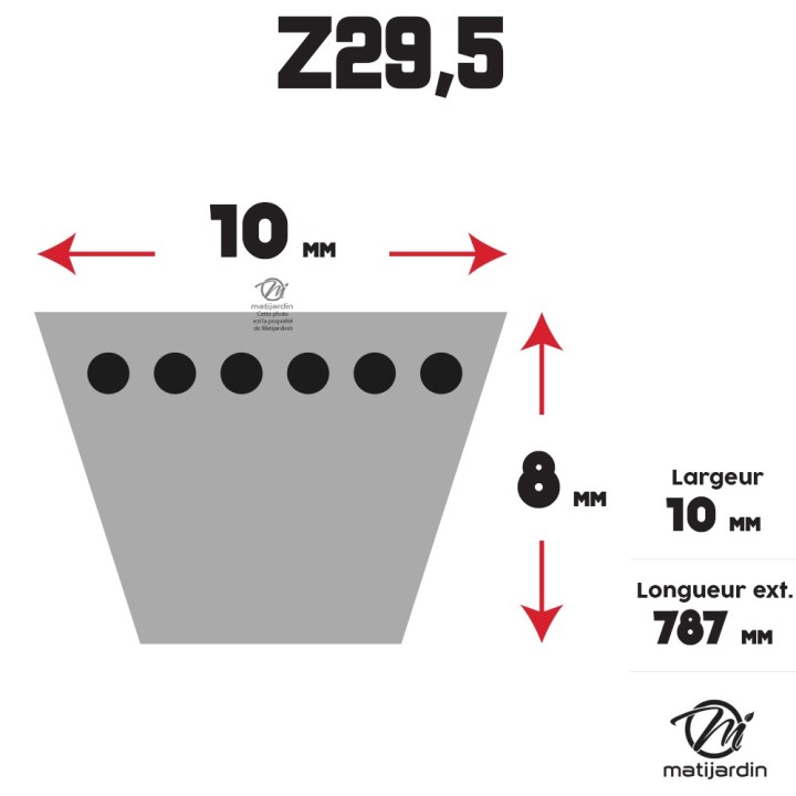 Courroie tondeuse Trapézoïdale Z29,5 - 10 mm x 787 mm