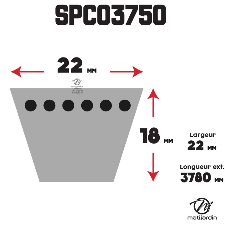 Courroie tondeuse Trapézoïdale SPC3750 - 22 mm x 3780 mm