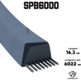 Courroie tondeuse Trapézoïdale SPB6000 - 16,3 mm x 6022 mm