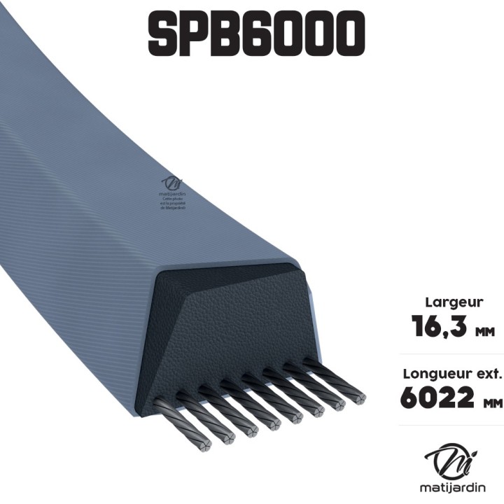 Courroie tondeuse Trapézoïdale SPB6000 - 16,3 mm x 6022 mm