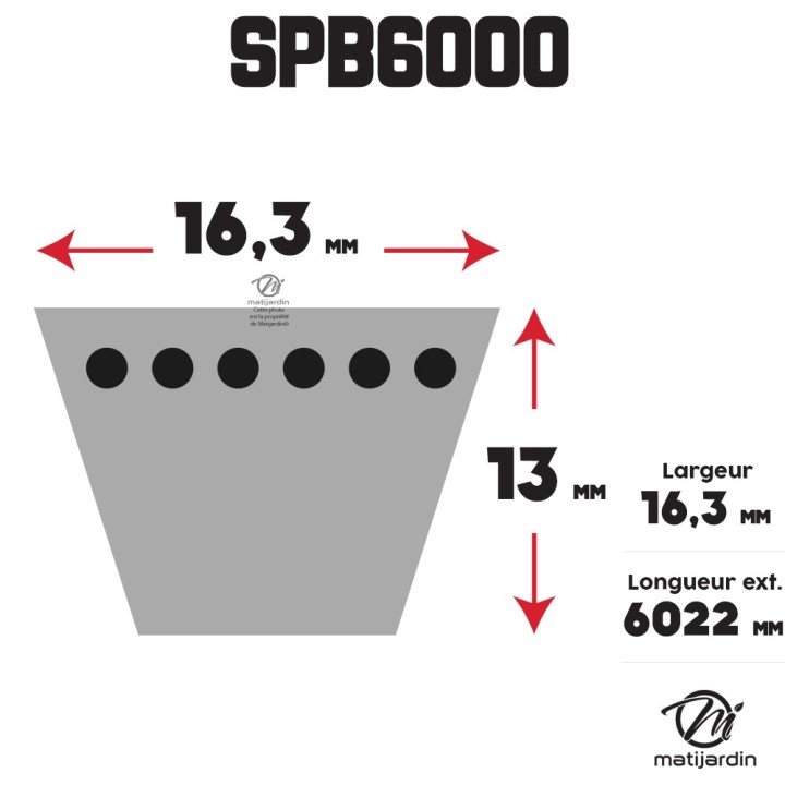 Courroie tondeuse Trapézoïdale SPB6000 - 16,3 mm x 6022 mm