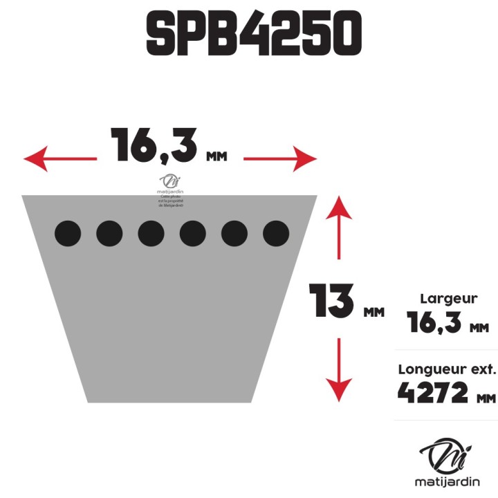 Courroie tondeuse Trapézoïdale SPB4250 - 16,3 mm x 4272 mm