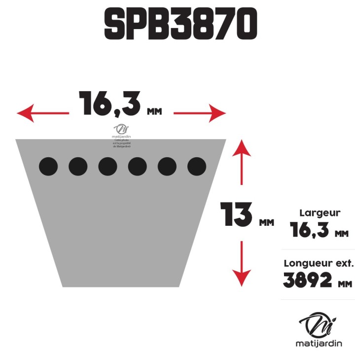 Courroie tondeuse Trapézoïdale SPB3870 - 16,3 mm x 3892 mm