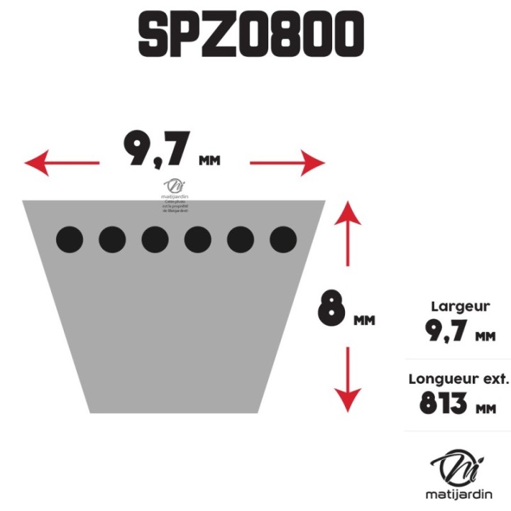 Courroie tondeuse Trapézoïdale SPZ800 - 9,7 mm x 813 mm