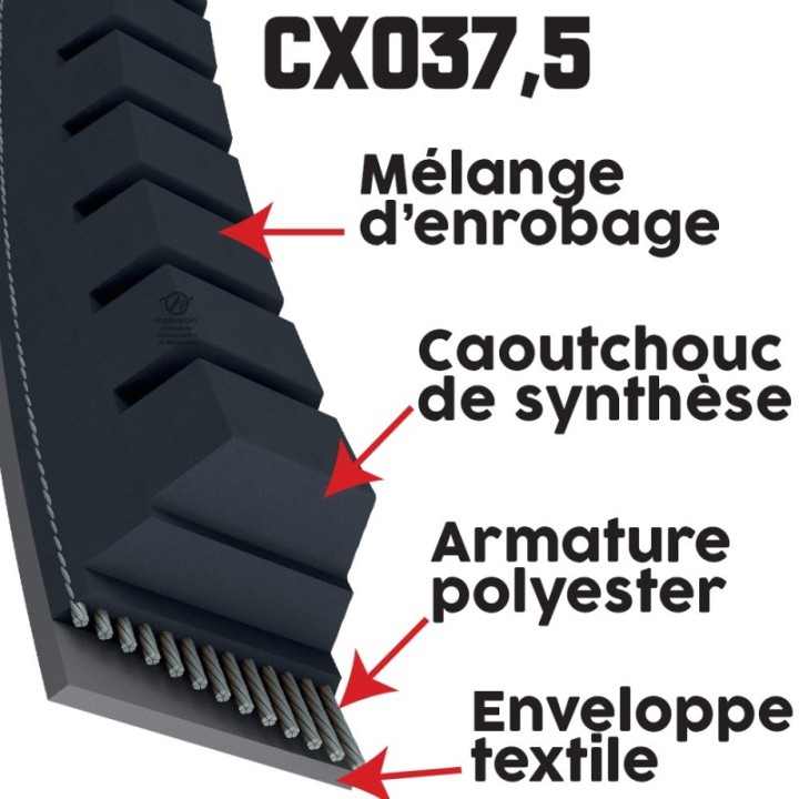 Courroie tondeuse Trapézoïdale CX37,5 - 22 mm x 952 mm