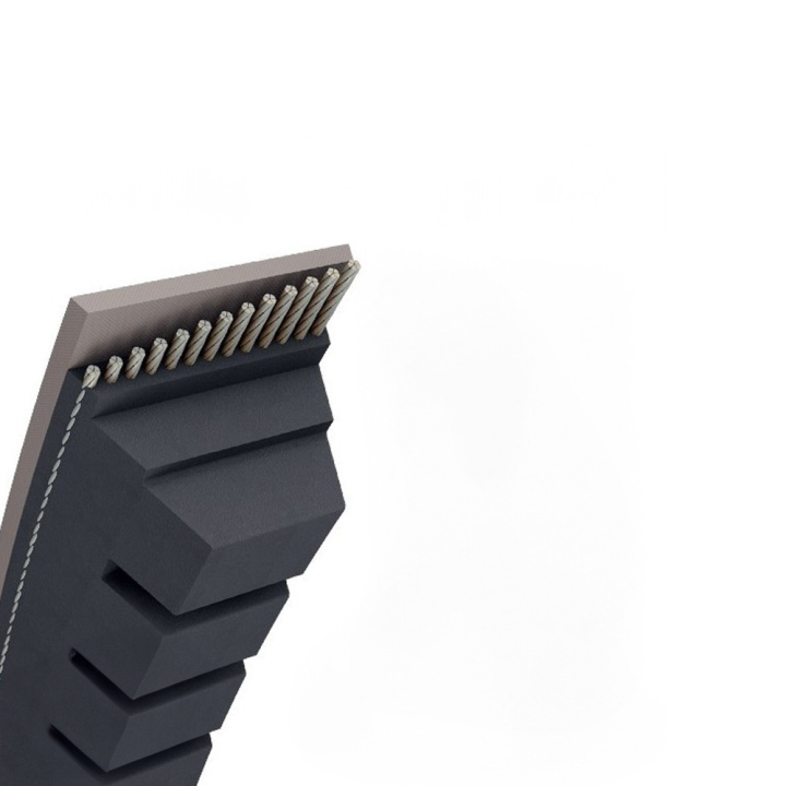 Courroie tondeuse Trapézoïdale crantée AX48 - 13 mm x 1269 mm