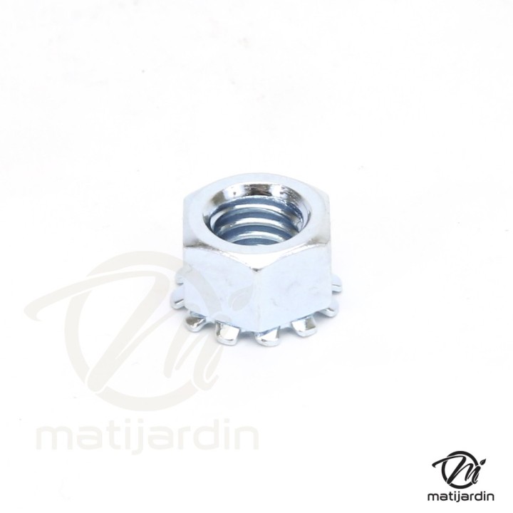 Ecrou pour axe de roue tondeuse. x 10