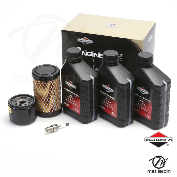 Kit entretien origine pour moteur Briggs et Stratton modèles 31, 31R7, 31R8, 31R9 et séries 4 intek I/C OHV