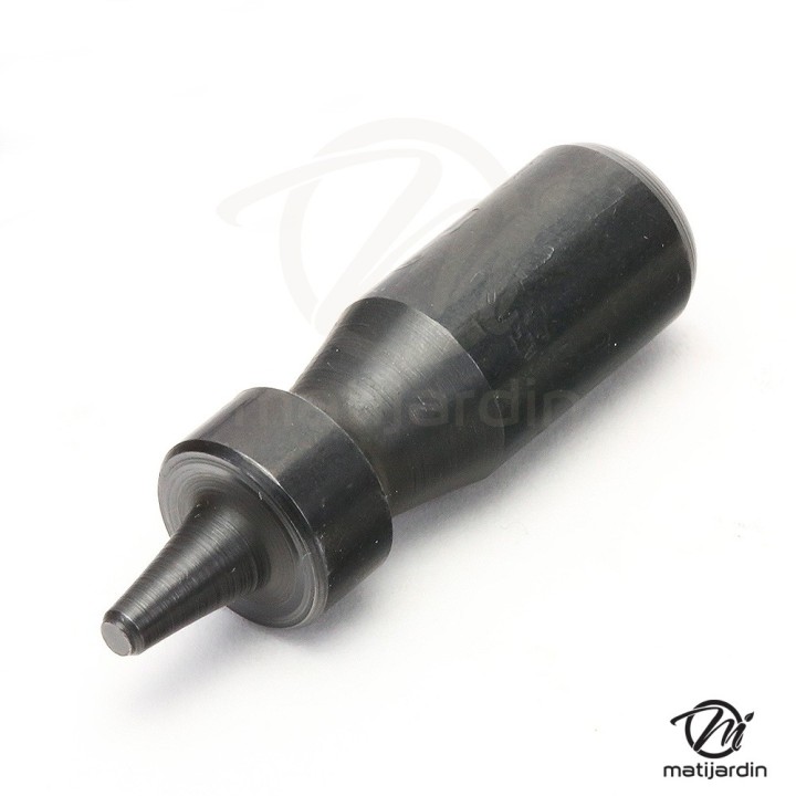 Embout, poinçon de dériveteuse