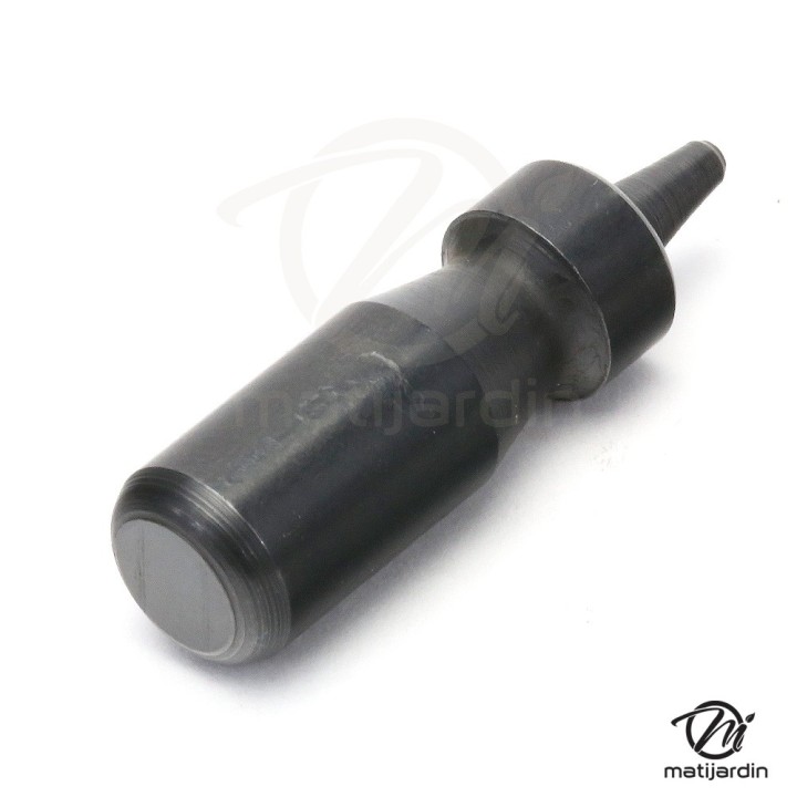 Embout, poinçon de dériveteuse