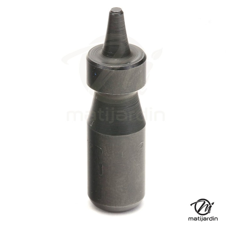 Embout, poinçon de dériveteuse