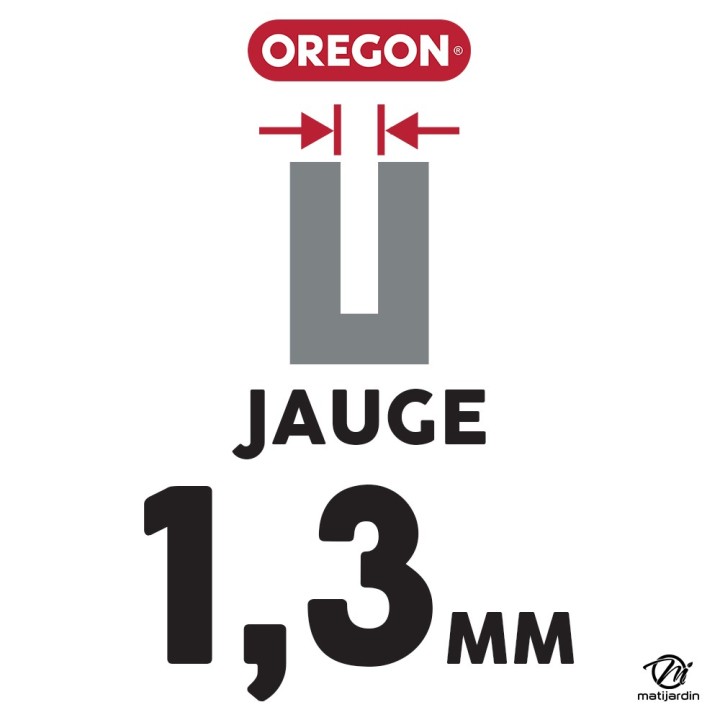Guide tronçonneuse Oregon 25 cm. 1/4" 1,3 mm 58 maillons 100SDAA041 DB Guard