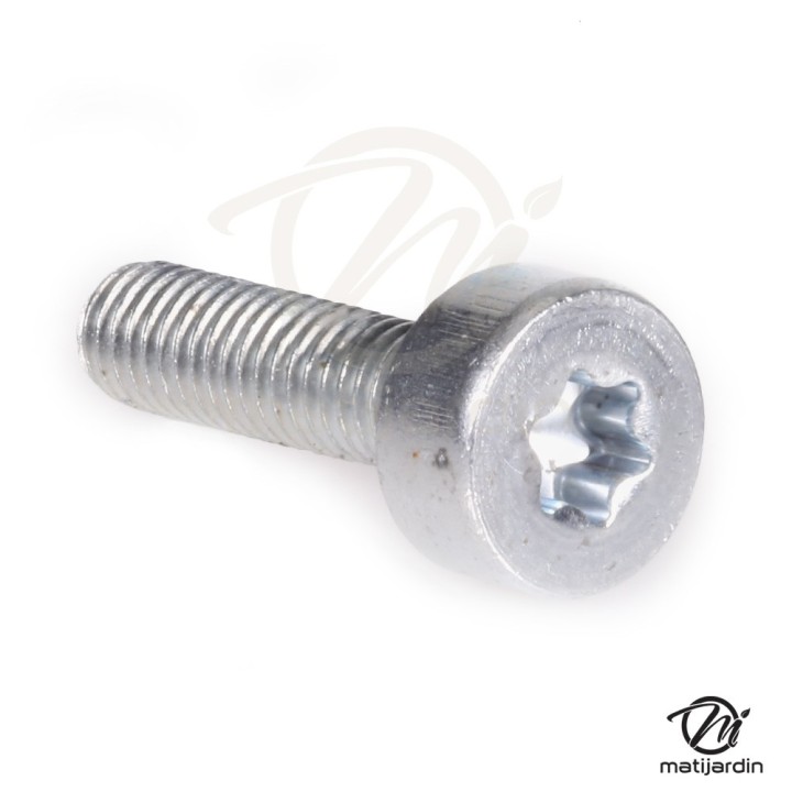 Vis Torx pour tronçonneuse Stihl MS180