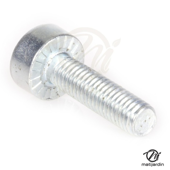Vis Torx pour tronçonneuse Stihl MS180