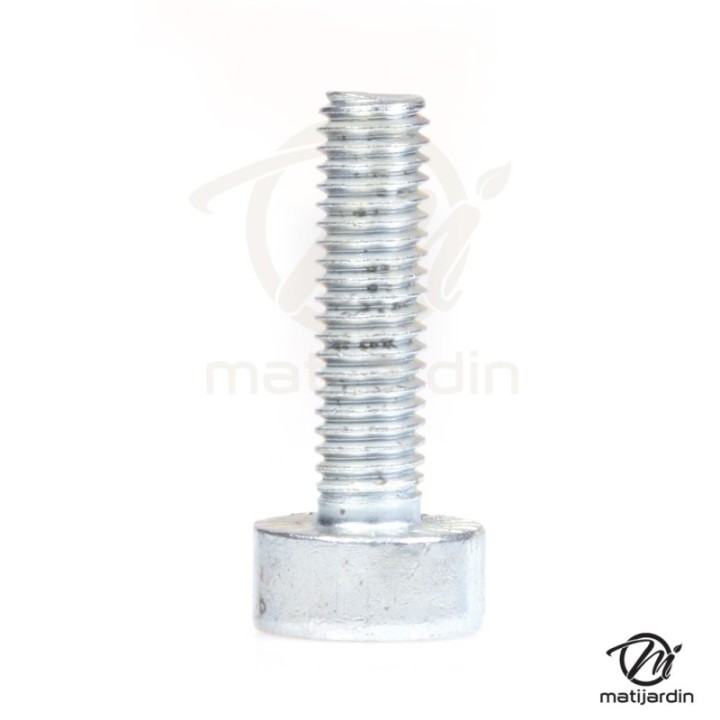 Vis Torx pour tronçonneuse Stihl MS180