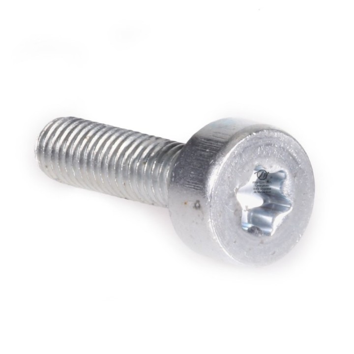 Vis Torx pour tronçonneuse Stihl MS180