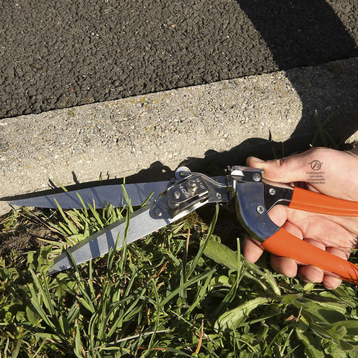 Cisaille à gazon Bahco Pradines GS-76 acier trempé. Pro. Made in France