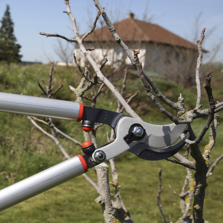 Ebrancheur démultiplié Bahco Pradines P280SL-80 acier trempé. 55 mm. Pro. Made in France