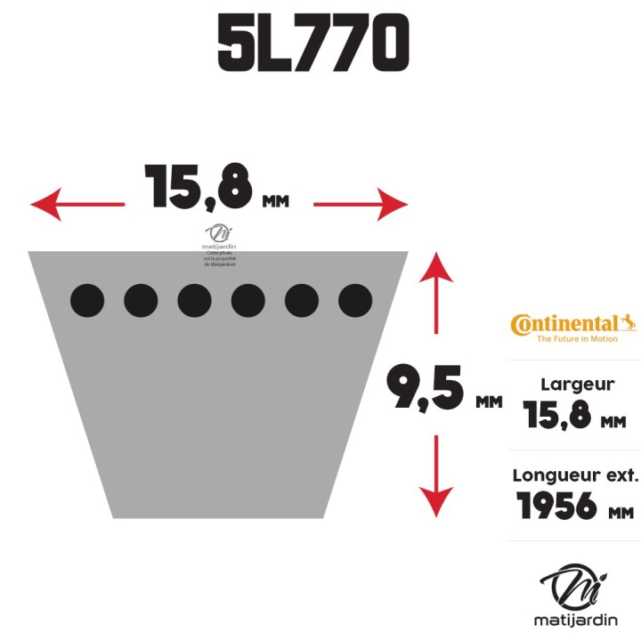 Courroie tondeuse 5L770 Continental Kevlar - 15,8 x 9,5 x 1956  mm
