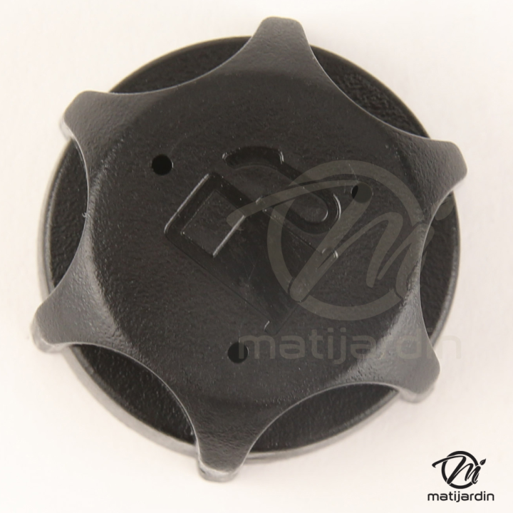 Bouchon d'essence pour moteur Briggs et Stratton 497929