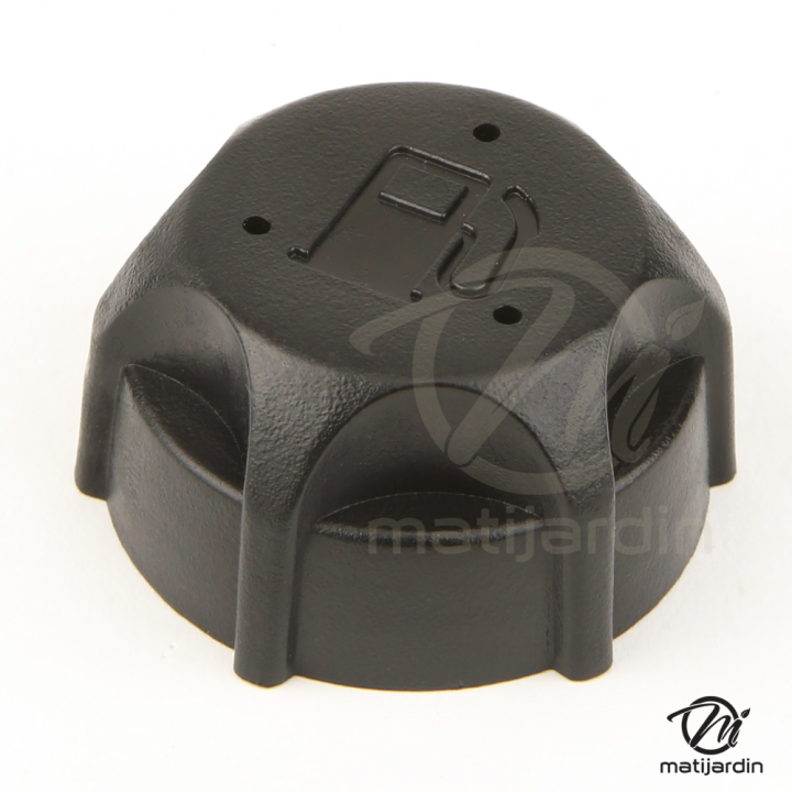 Bouchon d'essence pour moteur Briggs et Stratton 497929