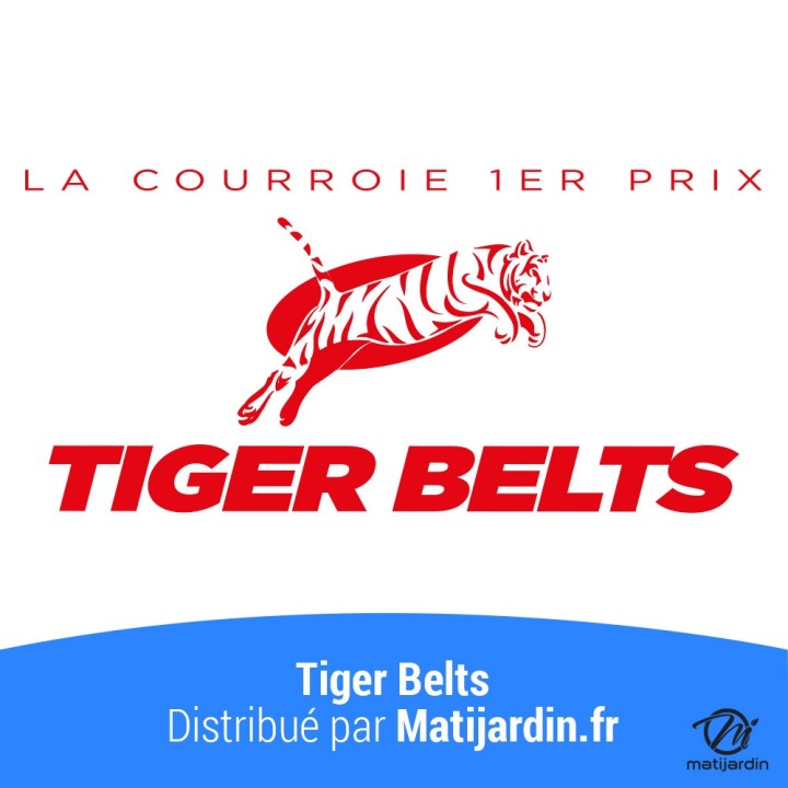 Courroie tondeuse 3L300 Tiger Belts Kevlar Trapézoïdale - 9,5 mm x 762 m - 1er Prix
