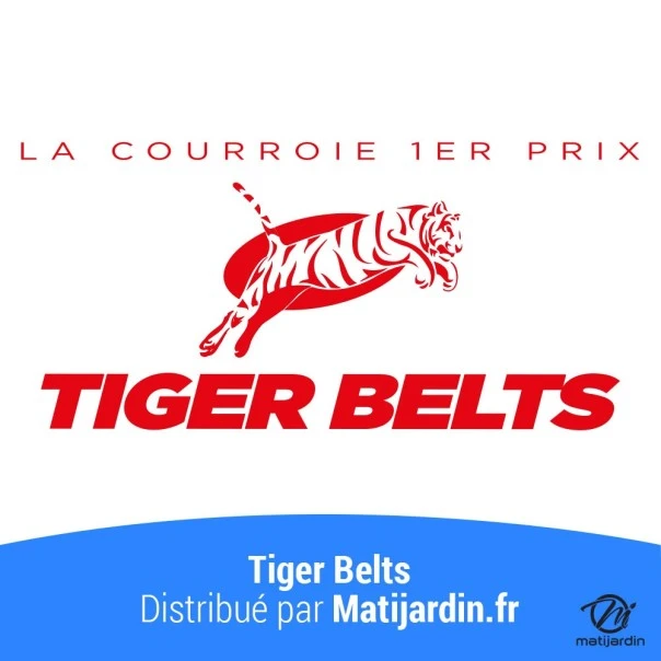 Courroie tondeuse 3L290 Tiger Belts Kevlar Trapézoïdale - 9,5 mm x 737 m - 1er Prix