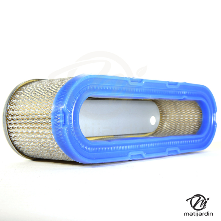 Filtre à air adaptable pour moteur Briggs & Strattonn N° 491519, 399806