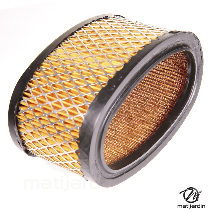 Filtre à air pour moteur Briggs & Stratton 393725