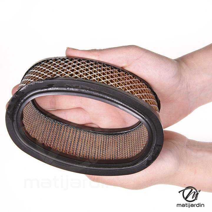 Filtre à air pour moteur Briggs & Stratton 393725