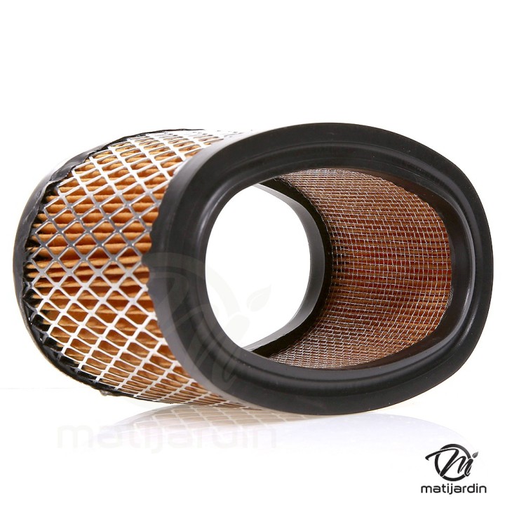 Filtre à air pour moteur Briggs & Stratton 393725