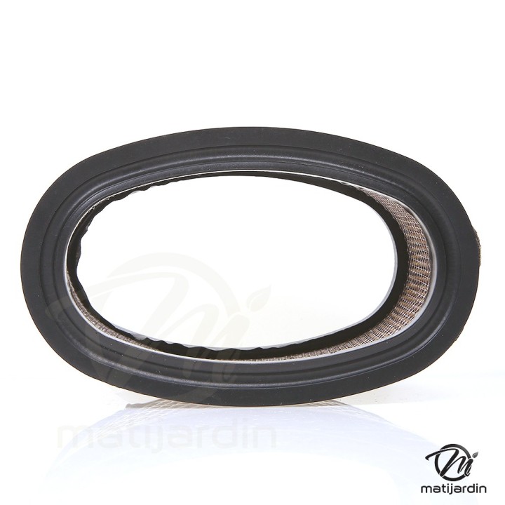 Filtre à air pour moteur Briggs & Stratton 393725