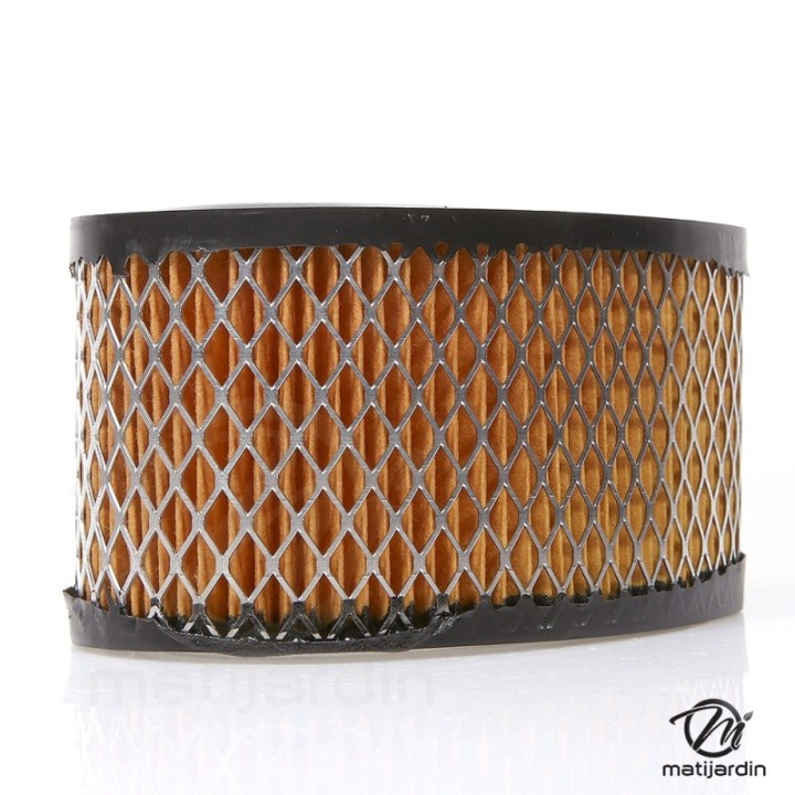 Filtre à air pour moteur Briggs & Stratton 393725