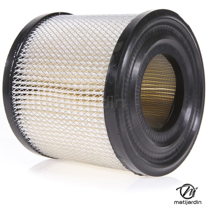 Filtre à air pour moteur Briggs & Stratton 393957, 390930