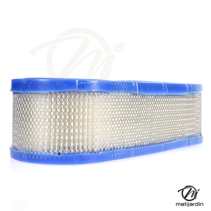 Filtre à air pour moteur Briggs & Stratton 394019