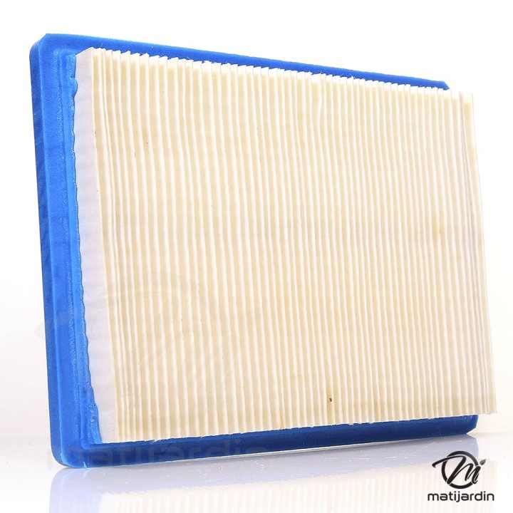 Filtre à air pour moteur Briggs & Stratton 397795