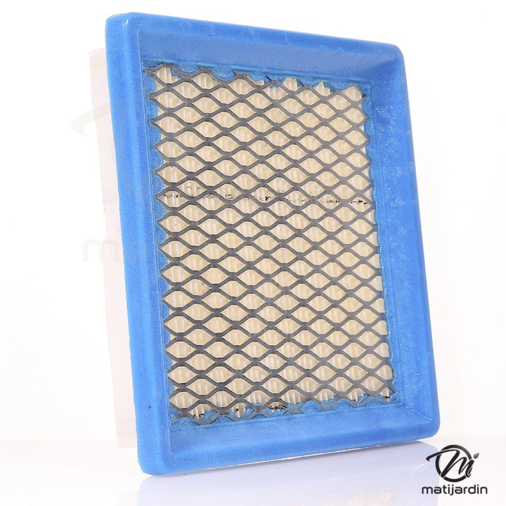 Filtre à air pour moteur Briggs & Stratton 399877. Modèles QUANTUM