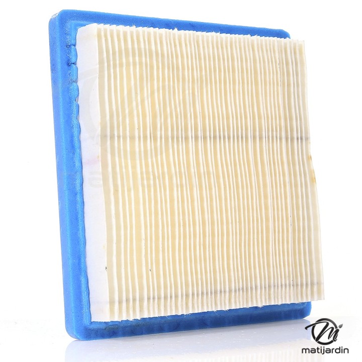 Filtre à air pour moteur Briggs & Stratton 399877. Modèles QUANTUM