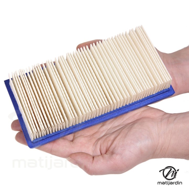 Filtre à air pour moteur Briggs & Stratton 491384. Modèles OVH VANGUARG