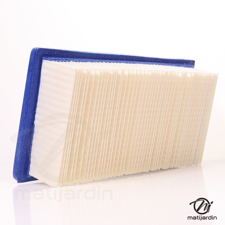 Filtre à air pour moteur Briggs & Stratton 491384. Modèles OVH VANGUARG