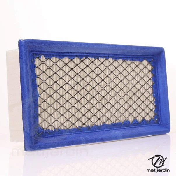 Filtre à air pour moteur Briggs & Stratton 491384. Modèles OVH VANGUARG