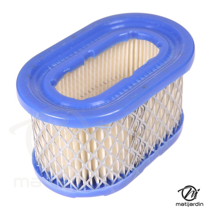Filtre à air pour moteur Briggs & Stratton 494586, 497725. Modèle EUROPA OHV