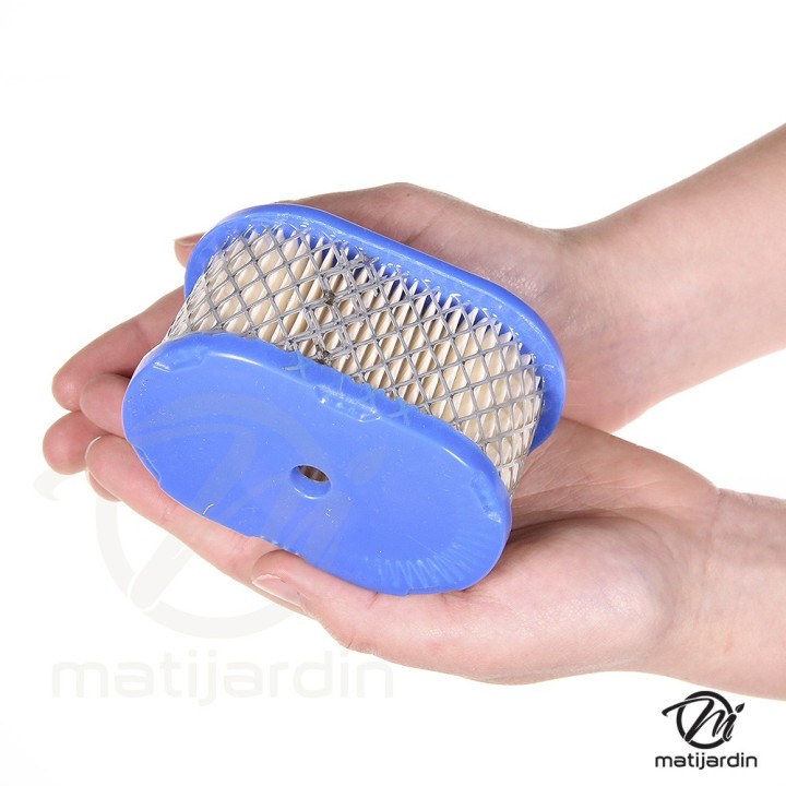 Filtre à air pour moteur Briggs & Stratton 494586, 497725. Modèle EUROPA OHV