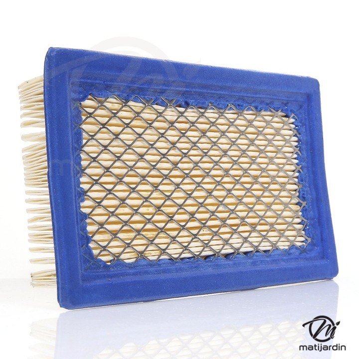 Filtre à air pour moteur Briggs & Stratton 710265. Modèle VANGUARD