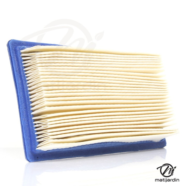 Filtre à air pour moteur Briggs & Stratton 710265. Modèle VANGUARD