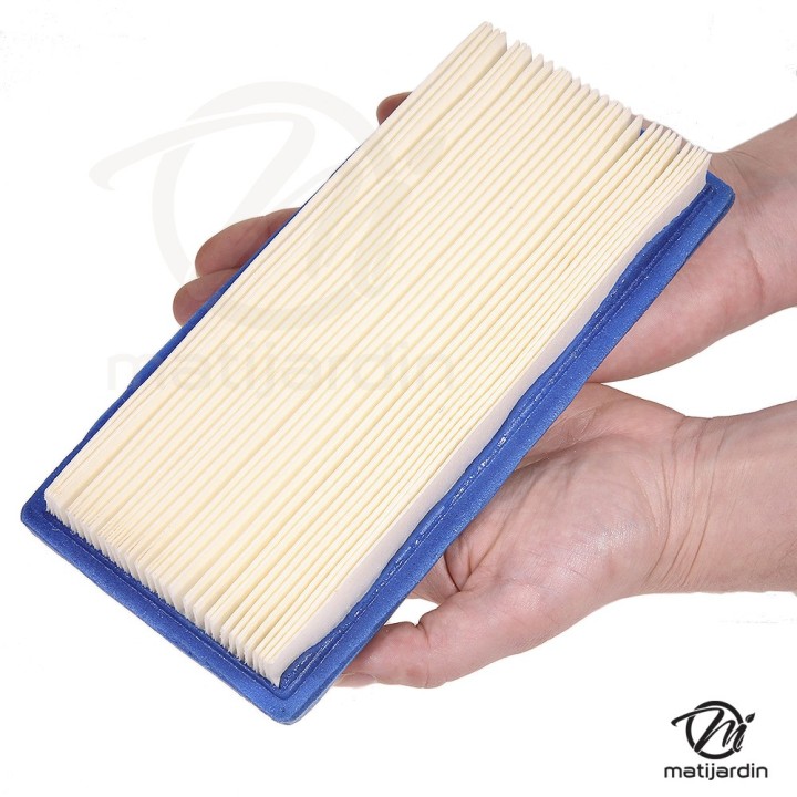 Filtre à air pour moteur Briggs & Stratton 710266. Modèle VANGUARD