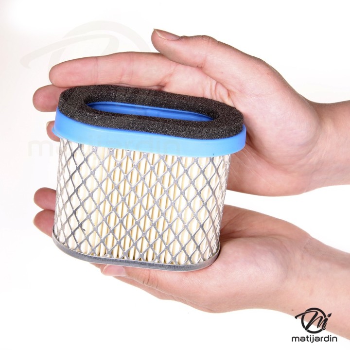 Filtre à air pour moteur Briggs & Stratton 692446